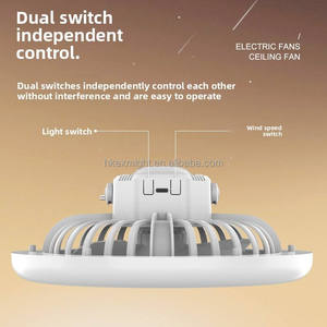 Portable Cross-border Camping LED <b>Fan</b> Light Outdoor Rechargeable Dual-use <b>Stand</b> Hanging Tent & Desktop Lighting - Product Image 3