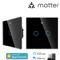 Interruptor táctil de cristal para el hogar inteligente con WiFi, productos Alexa, 10A, Panel de control inalámbrico, interruptores de pared de Control de aplicación temporizados para el hogar para el