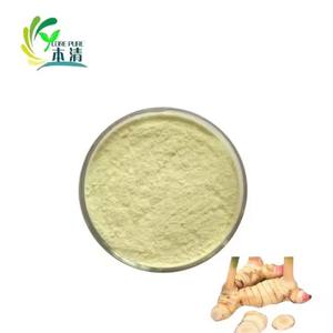 ガランガル天然エキス粉末1%-5% ガランガル - Product Image 2