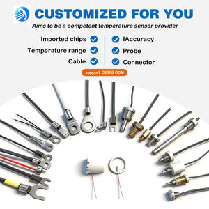 Sensor de Temperatura PT100 Personalizável de Alta Precisão Equipado com Sonda de Temperatura Rosqueada - Product Image 5