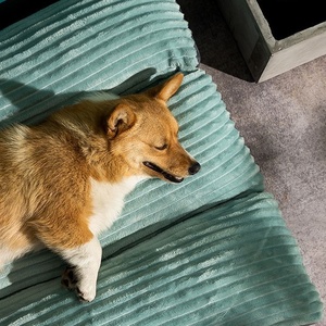 Cojín para mascotas de alta calidad, cama para perros, esterilla ortopédica lavable extraíble Premium para dormir para perros - Product Image 2