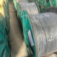 Alambre Redondo de Acero Revestido de Aluminio de Alta Calidad de 2.8 mm y 3.2 mm para Líneas de Transmisión Aéreas