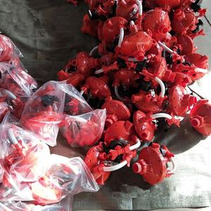 Equipo Automático para Avicultura, Sistema <span class=keywords><strong>de</strong></span> Línea <span class=keywords><strong>de</strong></span> Alimentación y Bebida para la Cría <span class=keywords><strong>de</strong></span> <span class=keywords><strong>Pollos</strong></span>, Broilers, Patos, Pavos, Codornices y Gallinas Ponedoras - Product Image 6