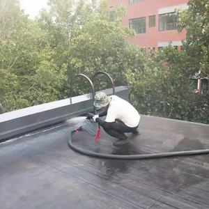 Revestimiento impermeable de poliurea en aerosol de poliurea de alta calidad y precio favorable para techos exteriores - Product Image 5