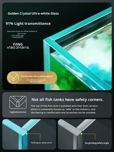 <span class=keywords><strong>Aquarium</strong></span> moderne en verre ultra-clair avec séparation sec/humide 46L pour bureau/table et salon - Product Image 5