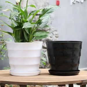 <span class=keywords><strong>Maceta</strong></span> de plástico cilíndrica alta con grano <span class=keywords><strong>horizontal</strong></span> para plantas verdes, venta al por mayor para fabricantes - Product Image 6