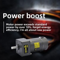 Moteur à engrenages DC 30W/40W/80W/200W, réducteur DC12V/24V, marche avant/arrière, régulation de vitesse constante, montage vertical, efficacité IE1