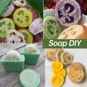 Natural Loofah Slices <b>for</b> Soap Making, Organic Luffa Cuts <b>for</b> DIY <b>Exfoliating</b> Soaps, Homemade Handmade Loofa Soap - Product Image 3