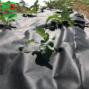 Pp tissu non tissé <span class=keywords><strong>tapis</strong></span> de mauvaises herbes <span class=keywords><strong>anti</strong></span>-herbe couverture légumes sol protéger tissu - Product Image 3