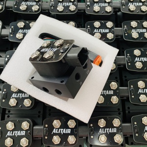 <span class=keywords><strong>Vannes</strong></span> à deux voies de type AA-VU2 ALITAIR pour suspension pneumatique AIR LIFT AIR SUSPENSION VALVE pour voiture, camion, remorque - Product Image 5