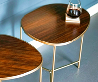 Table multifonctionnelle pour ordinateur portable, table élégante pour café, table d'attente, tables d'angle, console de présentation, support pour livres, pieds en acier