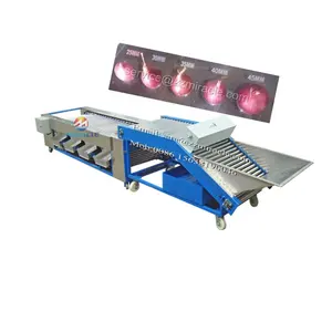 Roller type Radial Small onion Grader into 6 grades onion sorting machine