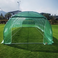 6x3 Mini Garden Green House Kit de serre en feuille de polycarbonate commercial