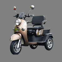 Scooter électrique à 3 roues stable et sûr avec deux sièges pour les trajets urbains, tricycle électrique pour deux passagers