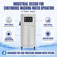 Generator Ozon PLC Industri 100g/jam untuk Pabrik Makanan, Pembersihan, Pengolahan Air, Disinfeksi, dan Sistem Pemurnian
