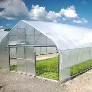 Popular Indoor Environmental Shade Nets Passive Plants Cold Frame Industrial Fully Automation Hydroponic Green House