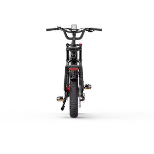 Bafang-Tricycle Électrique de Mobilité à Gros Pneu de Ville 750W, avec Cadre en Alliage d'Aluminium, Moteur 6061, pour UE, UK, US - Product Image 5