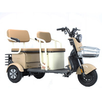 2025 nouveau vélo électrique Tricycle 3 roues 650W Vintage 3 roues vélo électrique avec panier