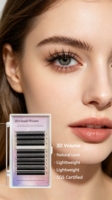 Extensions de cils 4D naturelles en grappe, faites à la main, segmentées, pour salon de maquillage, vente en gros