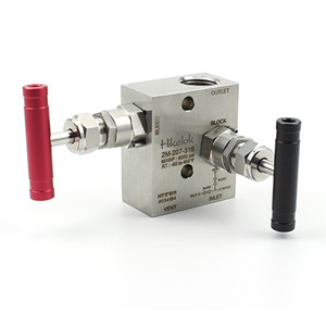 2M-Verteiler mit Manometer oder Druckt rans mittern Hot-Sale Swagelok Typ SS316 - Product Image 2