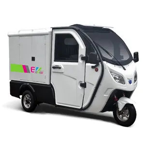 Factory Hot Selling Three Wheeler Mini White Electric Cargo Vehicle