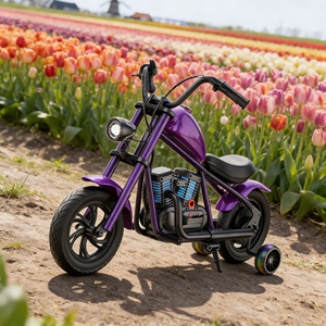 Vélo électrique pour enfants, scooter électrique rechargeable 25 volts pour les tout-petits de 3 à 12 ans, utilisation ludique, directement de l'usine - Product Image 4