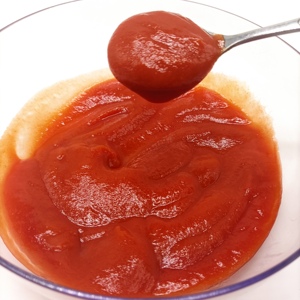 Toptan çin üreticileri fabrika fiyat domates poşet domates püresi - Product Image 4