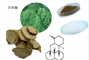 マトリネパウダー健康補助食品 天然苦味槐エキス 98% マトリネ - Product Image 2