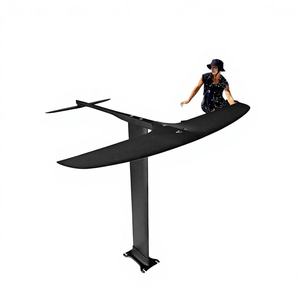 GY Waterplay Wingfoil BSC 1060 Hydrofoil 1726sqcm, Ala Delantera de Fibra de Carbono, Mástil de Aluminio, Tabla de Surf Nueva, Bolsa Práctica - Product Image 1