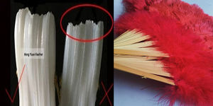 พัดลมมือถือขนนกยูงธรรมชาติสำหรับผู้หญิงใช้ในงานเลี้ยงน้ำชาอุปกรณ์ตกแต่งงานแต่งงานงานเต้นรำ - Product Image 5