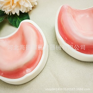 Modèle d'implant dentaire en résine pour la formation en sutures maxillo-faciales, démonstration pédagogique et usage domestique MX-111 - Product Image 4