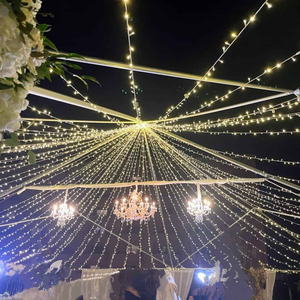 Guirlandes LED personnalisées IP65 2x3M 600 LED, lumières féériques, contrôle sans fil, intensité réglable, mariage, Noël, extérieur, jardin, fête - Product Image 3