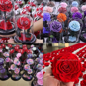 Bestseller Eeuwige Roos Bloemen Valentijnsdag Eeuwig Bewaard Gebleven Bloem Voor Altijd Rozen In Glazen Koepel Led - Product Image 6