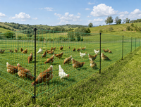 Filet électrique pour volailles de 120 cm x 50 m, 11 lignes, clôture pour poulets avec 14 poteaux à double pointe pour la protection des élevages