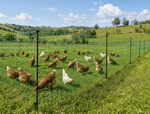 <span class=keywords><strong>Filet</strong></span> <span class=keywords><strong>électrique</strong></span> pour volailles de 120 cm x 50 m, 11 lignes, clôture pour poulets avec 14 poteaux à double pointe pour la protection des élevages - Product Image 2