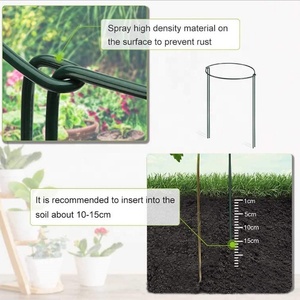 Piquets de Support de plantes de jardin en métal Semi-circulaire, Support pour fleurs, 10 pièces - Product Image 3