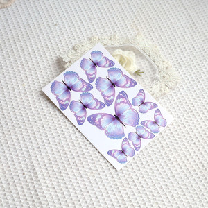 Nuevas llegadas 6 pulgadas acrílico plástico mariposa en forma de crema raspador más suave mariposa pastel patrón plantilla pastel Accesorios - Product Image 5