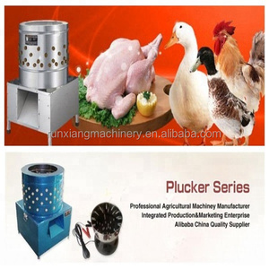 Máquina desplumadora de pollos de alta calidad, máquina para eliminar el pelo de patas de cerdo y limpiarlas - Product Image 6