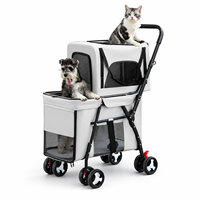 Carrito de Paseo para Mascotas de Dos Niveles, Desmontable, Plegable, Ligero y Duradero, con Malla Transpirable, Freno Trasero y 4 Ruedas Grandes