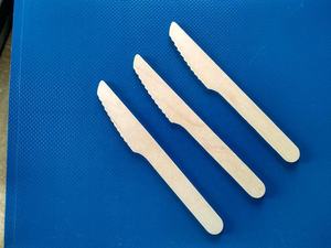 Platos y platos de hojas de areca ecológicos desechables de calidad superior Grabado de plantas sostenibles para el regreso a la escuela - Product Image 4