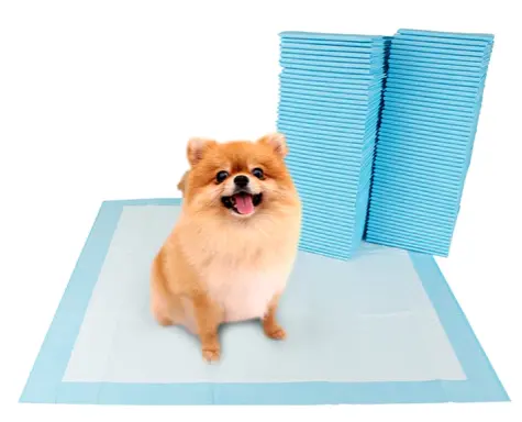 Trung Quốc bán buôn Dog Pet đào tạo Pads tã Dog PEE Mat dùng một lần Puppy đào tạo Pads dùng một lần Pet Dog Pad