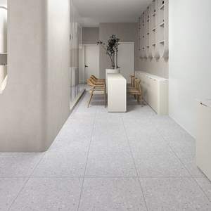 Piastrella Opaca Antiscivolo Effetto Mattone Antico per Pareti e Pavimenti 800x800mm, Gres Porcellanato Smaltato a Tutta Massa - Product Image 5