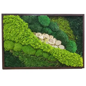 Stabilized Moss Ready Made Customized Office Decoration 3D Real Natural Moss Wall Art Frame Wholesale Reindeer Moss Stabilized