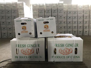 Pembeli jahe baru impor dari pabrik Cina harga rendah - Product Image 4