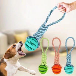 Çevre dostu toptan köpek oyuncağı çiğnemek tedavi topu Modern pamuk eğitim köpekler için interaktif diş temizleme özelliği - Product Image 1