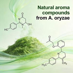Solution de Stabilité Aérobie pour Ensilage, Acides Aminés de Qualité Alimentaire, Aspergillus Oryzae, Synergie de Bactéries Lactiques, Prévient la Chauffe 7+ - Product Image 4