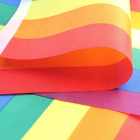 Vente en gros de nouveaux drapeaux arc-en-ciel pour la fierté gay, lesbienne, pansexuelle et bisexuelle, drapeau en guirlande, drapeau LGBTQ élaboré, décoration
