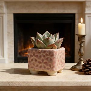 Maceta cuadrada de cerámica con efecto de grietas de hielo, transpirable, pequeña, para suculentas y cactus, para jardín. - Product Image 5