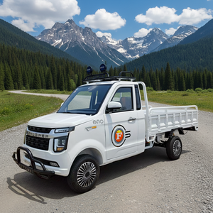Camionnette 5000W à conduite gauche et droite, mini-camionnette, cabine simple, 2 places, moteur, camion <span class=keywords><strong>de</strong></span> transport à <span class=keywords><strong>prix</strong></span> abordable - Product Image 2