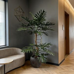 <span class=keywords><strong>ต้น</strong></span>ไม้ปลอมฟิโลเดนดรอนแบบกระถาง ดีไซน์พิเศษจากนิฟลอรัล ขนาด 220 ซม. คุณภาพพรีเมียม เหมาะสำหรับตกแต่งสำนักงาน โรงแรม โชว์รูม - Product Image 5